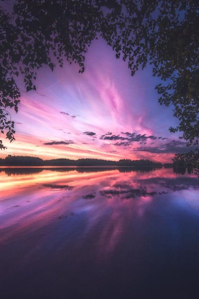 Розовый закат