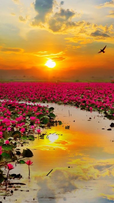 Озеро Нонг Хан Таиланд