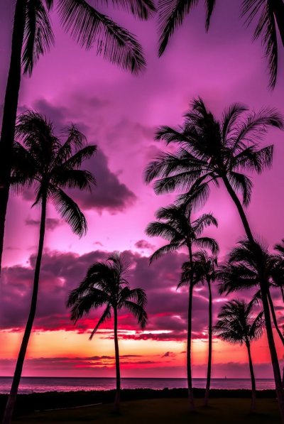 Розовый закат