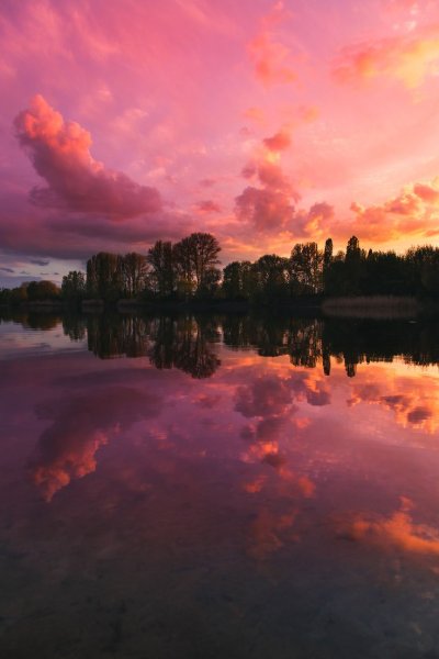 Розовый закат