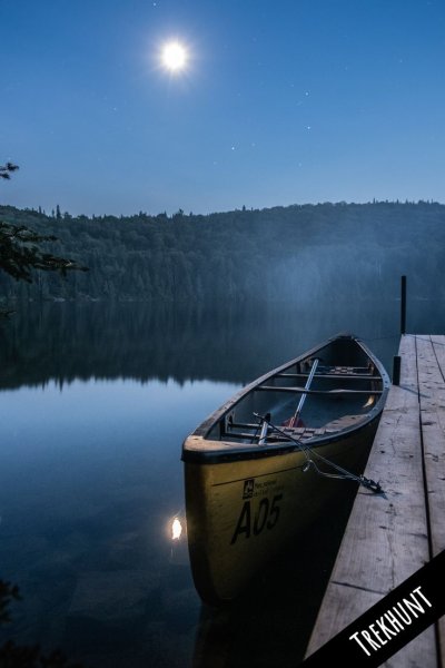 Лодка в лесу