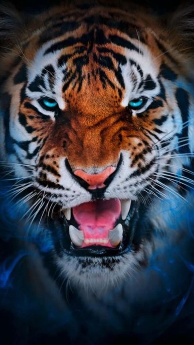 Тигр на телефон