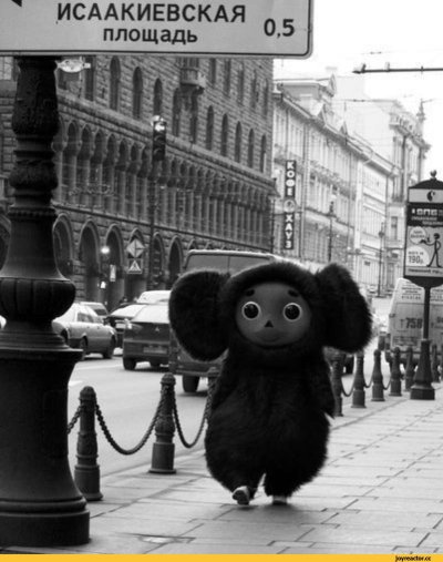 Чебурашка тлен