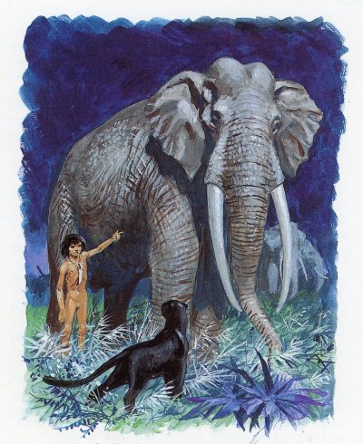 Пьер Жубер Маугли