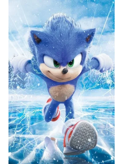 Номер Соника