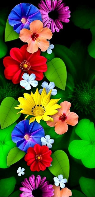 Яркие цветы