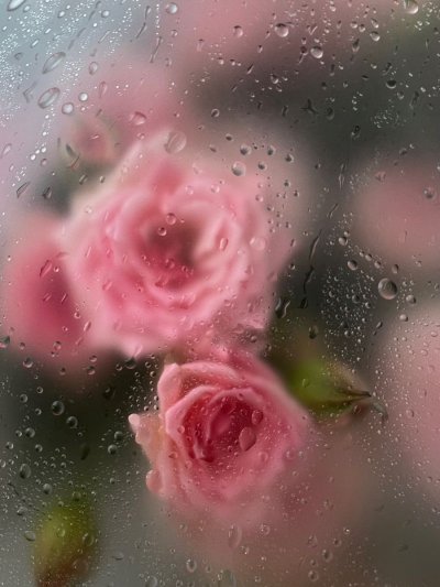 Капли Эстетика