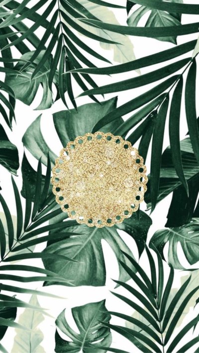 Монстера ланиата