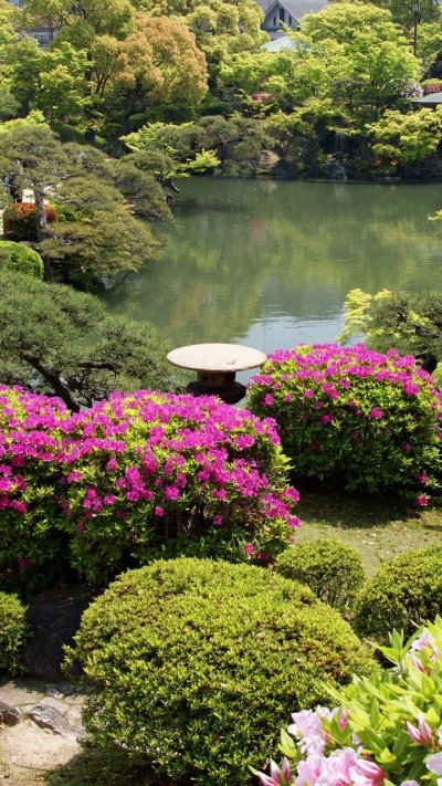 Цветочный куст