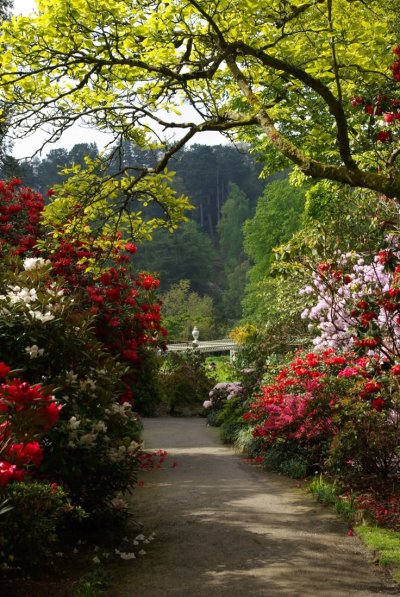 Сад Боднант Уэльс