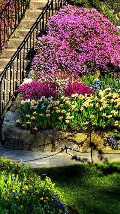 Цветы в саду