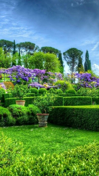 Зелень для сада