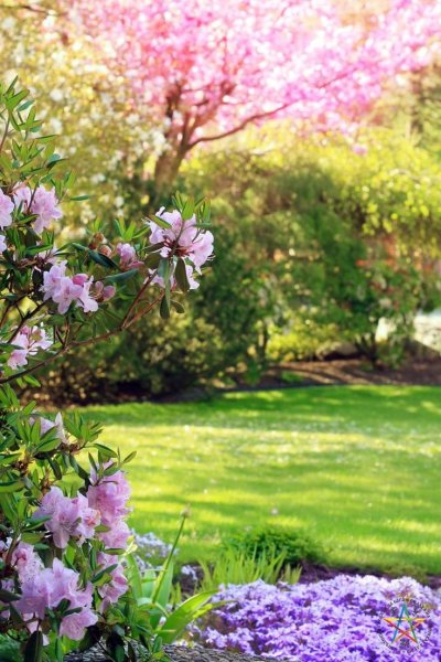 Цветущие сады