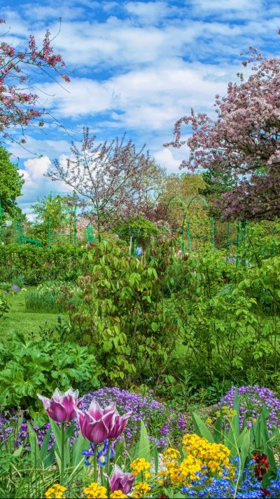 Цветущие сады