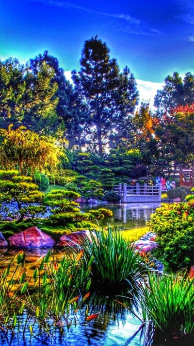 Японский сад