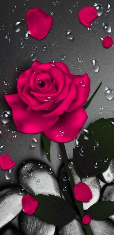 Красные розы