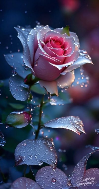 Цветы на аватарку