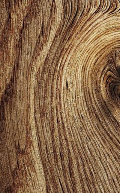 Фактура дерева