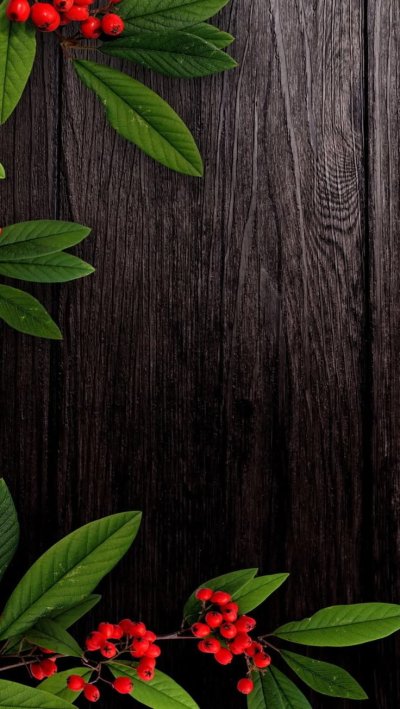 Деревянный фон