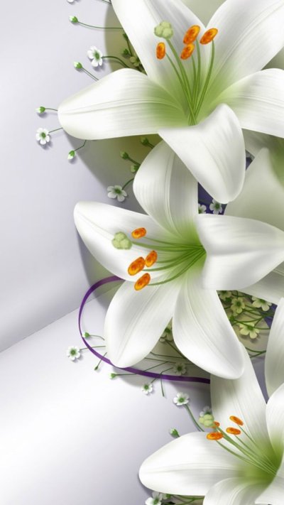 Цветы лилии