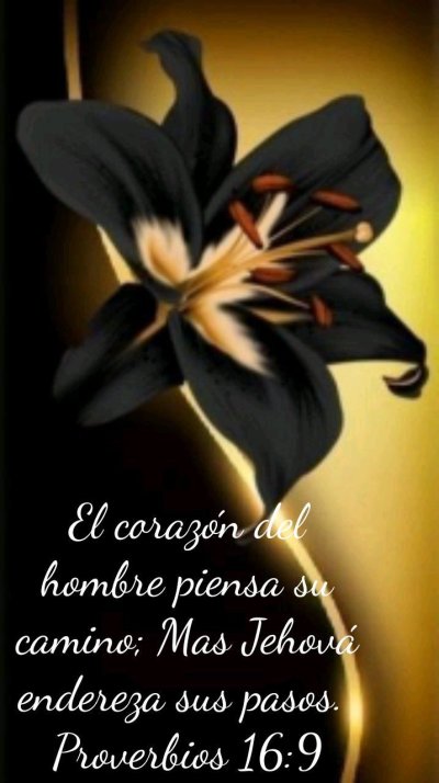 Черные лилии