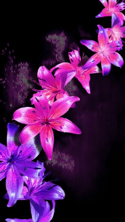 Цветы вертикальные