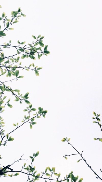 Фон с веточками