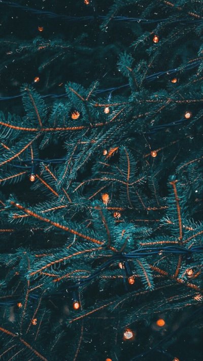 Новогодняя елка с огоньками