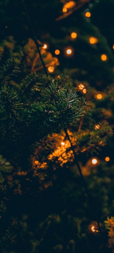 Ель с гирляндой