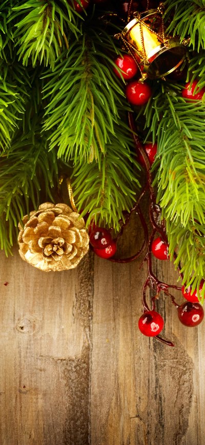 Ветка Еловая