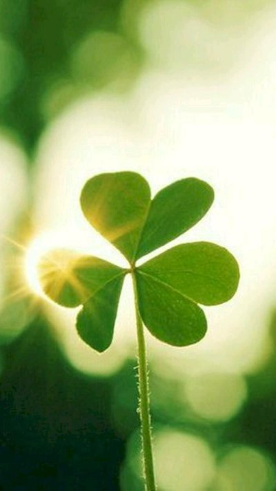 Четырёхлистный Клевер символ