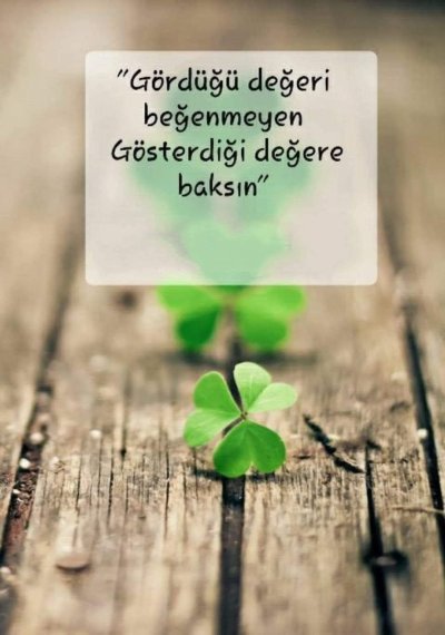 Четырёхлистный Клевер на удачу