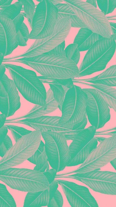 Мятные обои