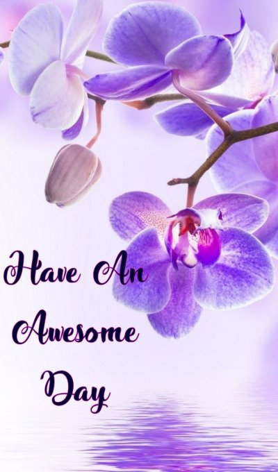 Сиреневые цветы вертикальные