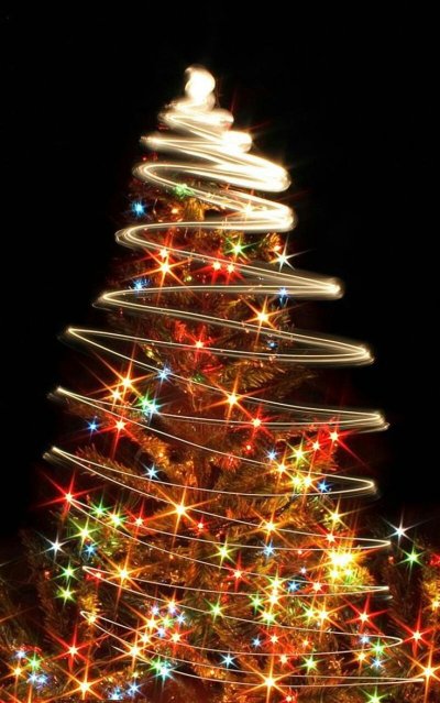 Новогодняя елка в Огнях