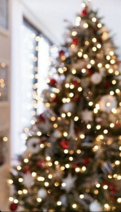 Красивая елка