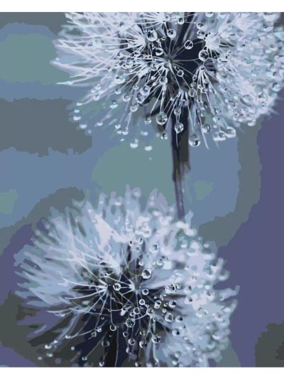 Красивые одуванчики