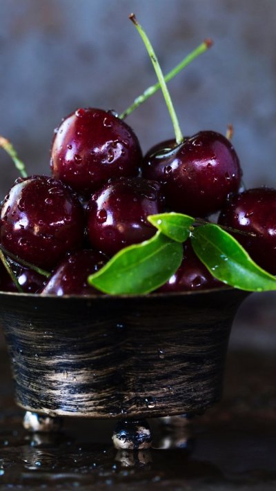 Вишня Шоколадница