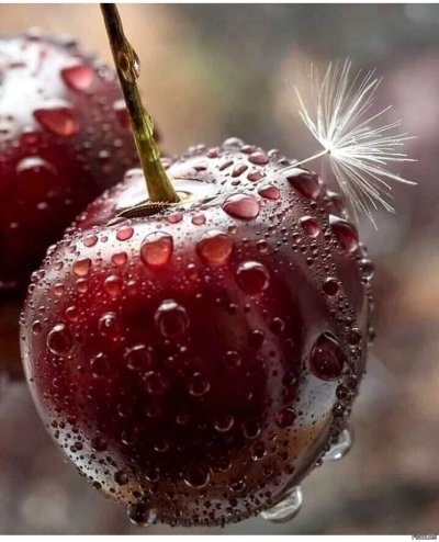 Макросъемка фрукты