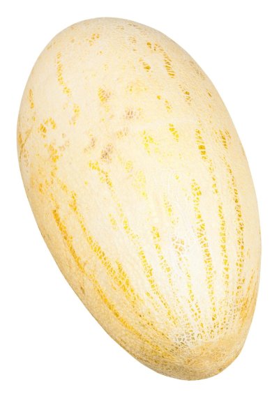 Дыня торпеда на белом фоне