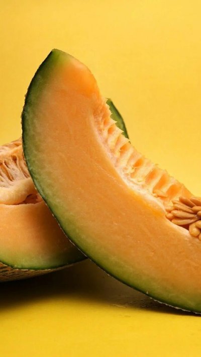 Дыня Северная принцесса