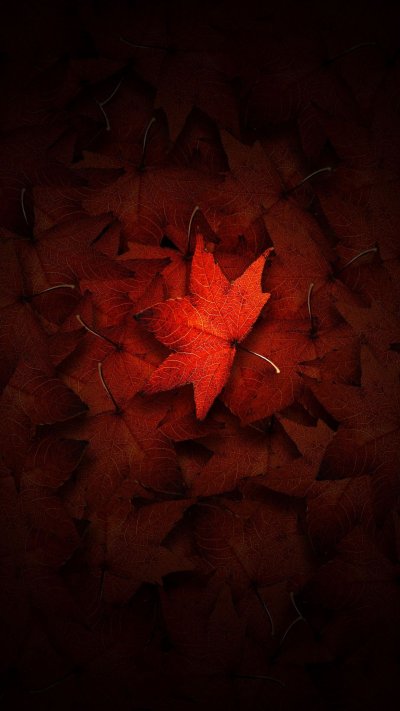 Красный лист