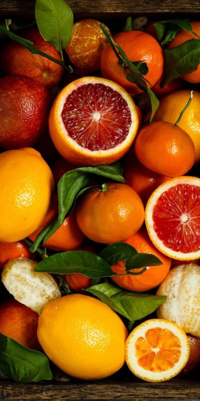 Цитрус апельсин грейпфрут