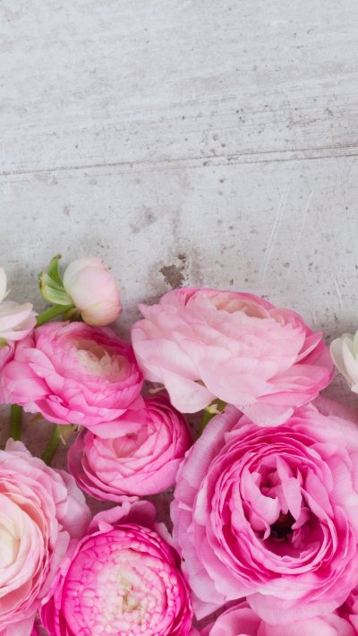 Ранункулюс и пионы