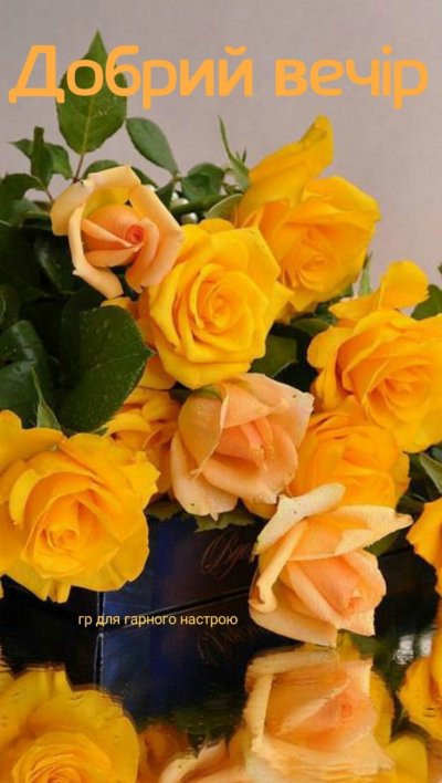 Желтые розы