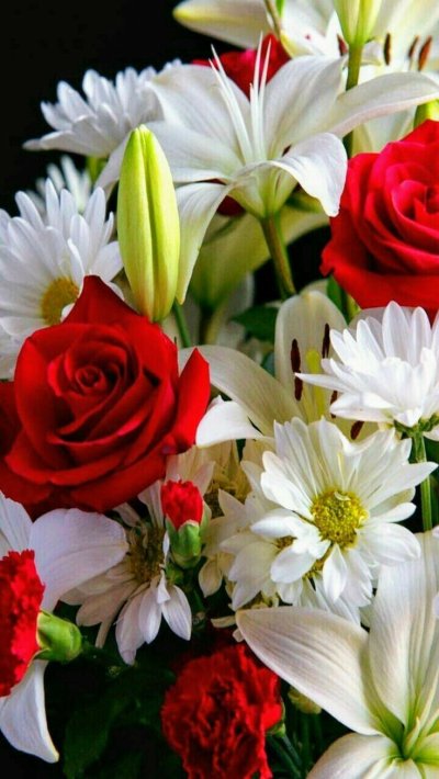 Красивые цветы