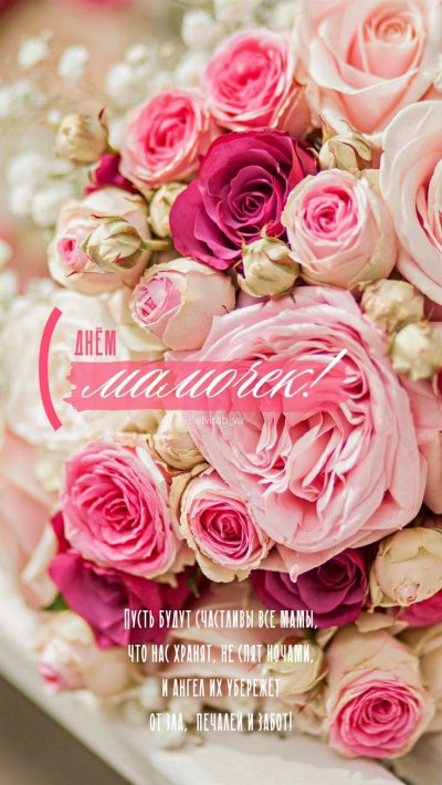 Роскошные цветы