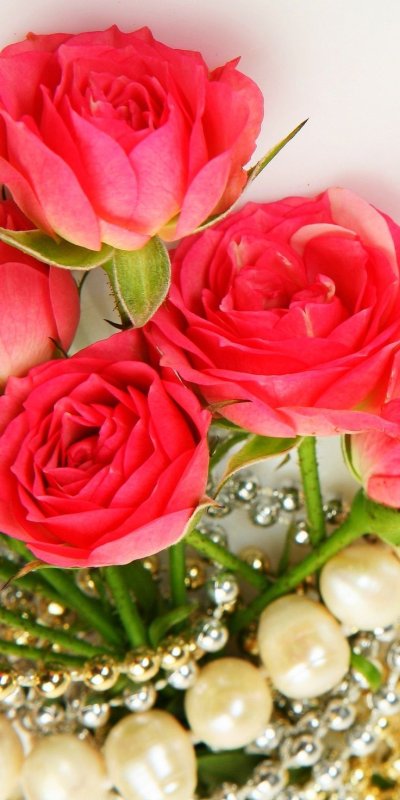 Шикарные цветы