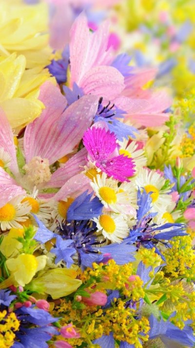 Яркие цветы