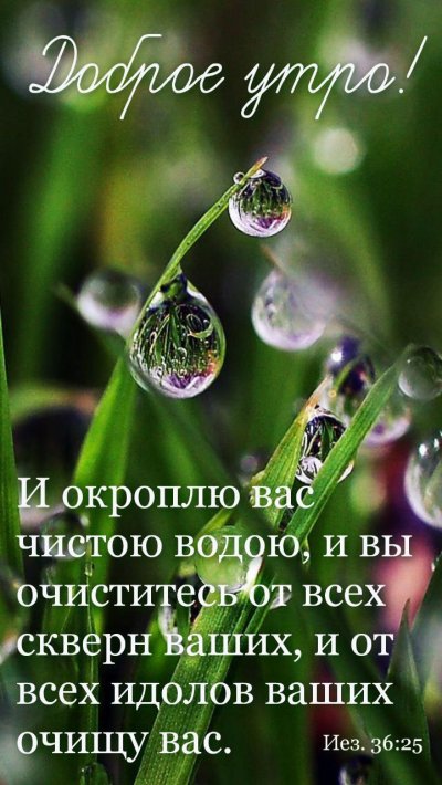 Макросъемка природа